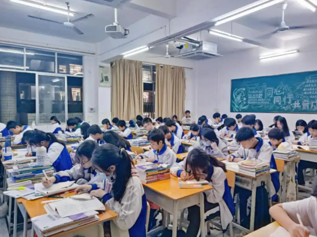 积极构建德智体美劳全面培育的教育体系形成体教交融产教协同 积极构建德智体美劳全面培育的教育体系形成体教交融产教协同